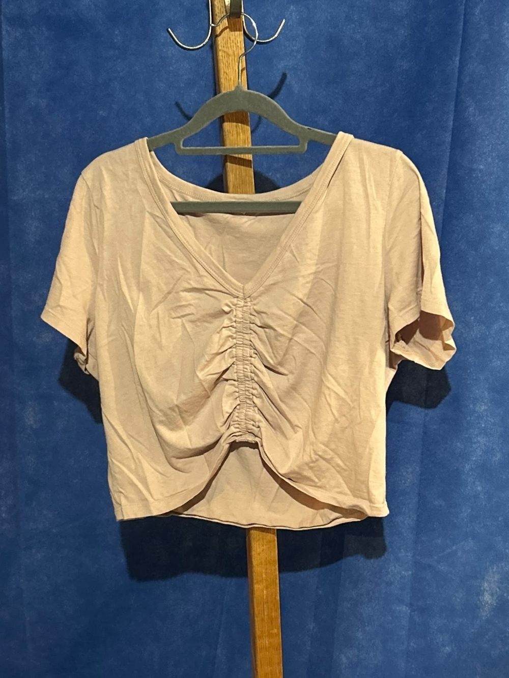 Wilfred Blush Ruched V-Neck Crop Top